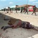 Ex-legerofficier Rwanda opgepakt in Ermelo, zou belangrijke rol hebben gespeeld tijdens genocide