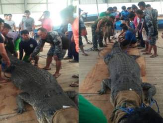 Reusachtige krokodil gevangen op de Filipijnen, nadat visser werd doodgebeten