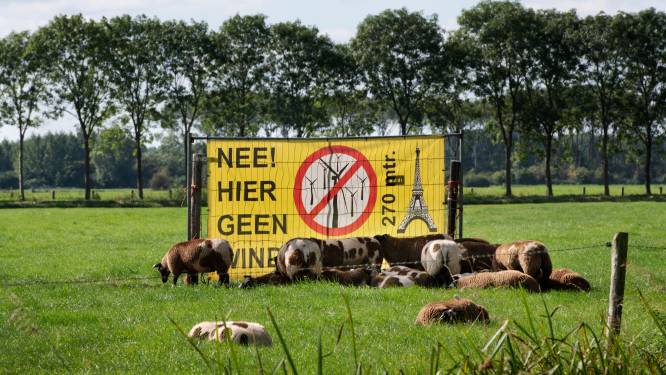 BBB kust buiten de Randstad onbehagen tot leven: ‘De onvrede is veel breder dan alleen stikstof’