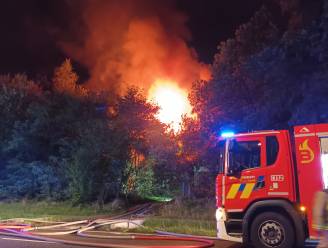 Brandweer rukt uit voor uitslaande brand in Schoten