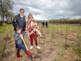 300 Brugse kindjes planten samen met hun ouders 1.500 geboortebomen in het Beisbroekbos: “We komen jaarlijks terug met Billie naar hier”