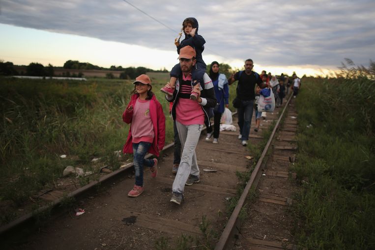 Migranten en vluchtelingen passeren de Servisch-Hongaarse grens. Beeld getty