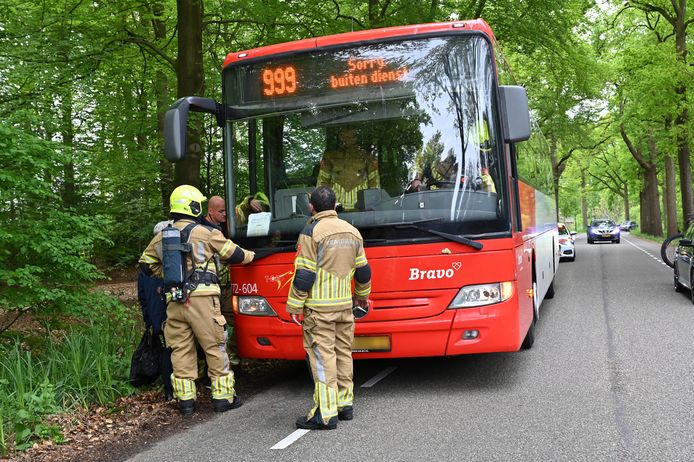 Spannende Was Mussen Sie Beachten Bus Fotos