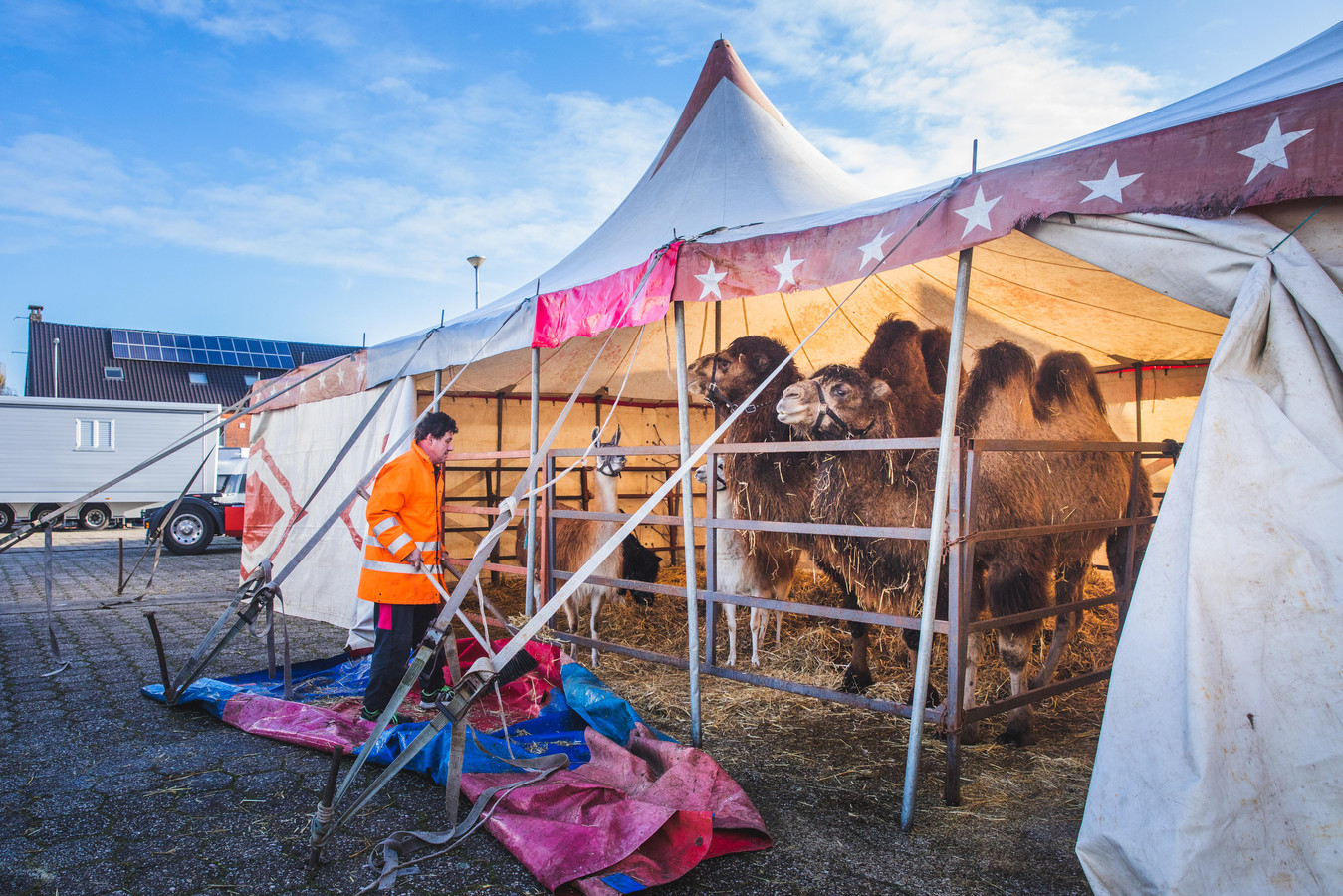 Vanaf Zaterdag Circus Aan De Watersportbaan Tot Het Einde Van De 