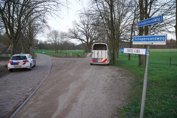 De plek waar de zoekactie in gang is gezet