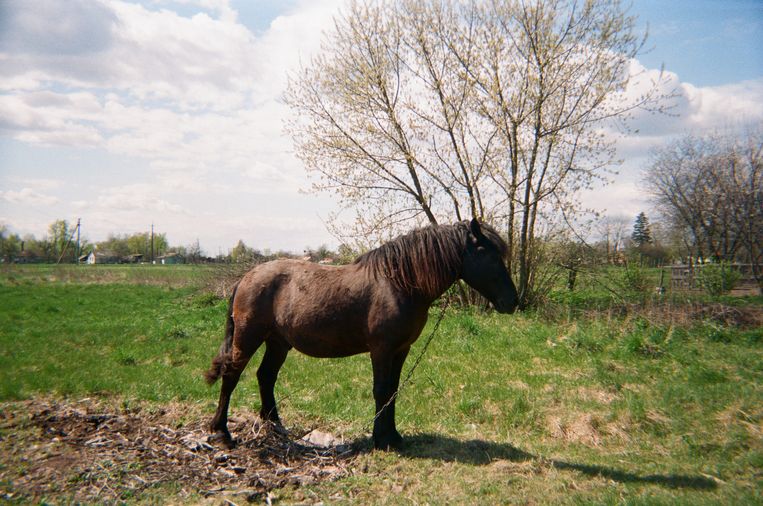 null Beeld Masha, 10 y.o