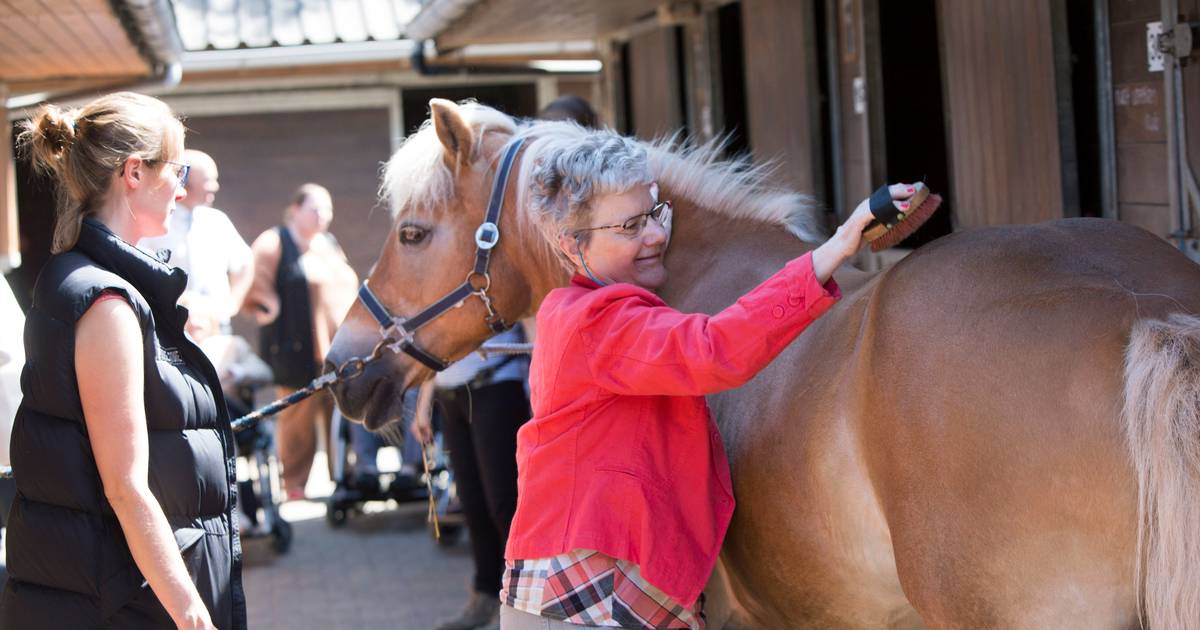 Paardenhouderij Den Nul wordt opvang voor hulpbehoevende mensen