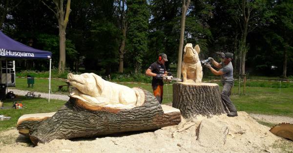 Voor je het weet zit er een varken op die boom in Well