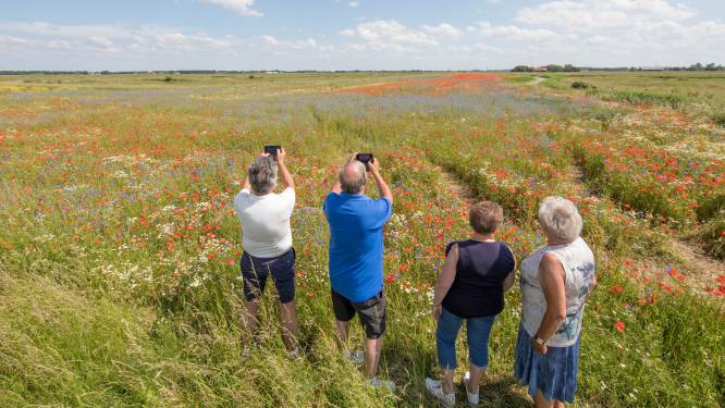 Bevelandse gemeenten zien voorspelde groei toerisme ook als een kans 