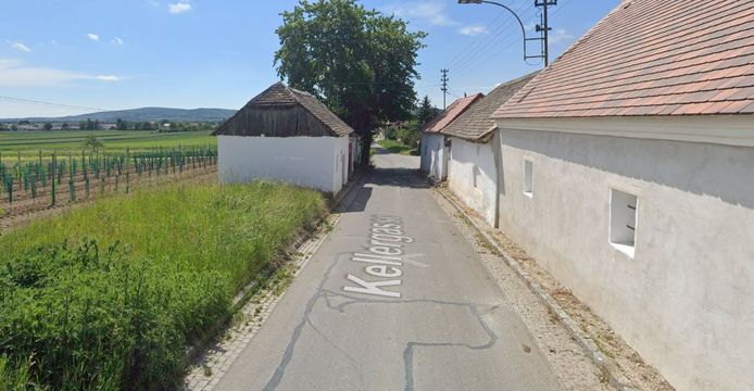 De kinderen werden gevonden in een wijnkelder aan de Kellergasse in de buurt van Hadres in Oostenrijk.