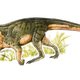 Voorloper van de dinosaurus liep als een krokodil (en dat gooit onze kennis over dino's overhoop)