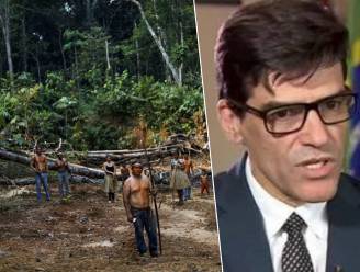 Braziliaans Amazonewoud dreigt te worden overgenomen door maffia, waarschuwt ex-politiechef 