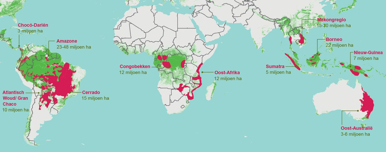 Wereldkaart ontbossingsgebied, de grootste bosgebieden. Beeld WWF
