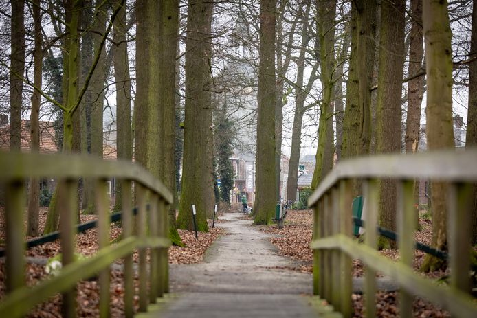 De gemeente wil het Eeshofbos transformeren in een Dorpspark, een aantrekkelijke groene verbinding met het centrum van het dorp Tubbergen.