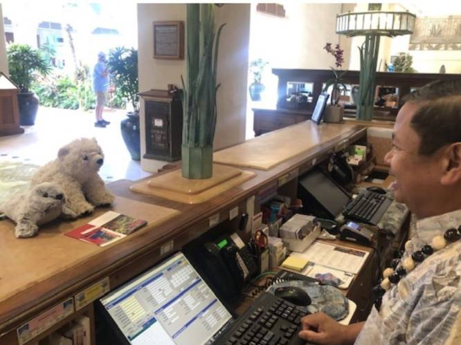 Jongetje vergeet zijn knuffel op Hawaï, maar hotelpersoneel zorgt voor vipbehandeling voor de kleine teddybeer