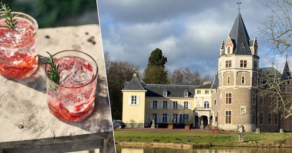 Zes vrijdagen op rij zomerbar aan Kasteel de Renesse: “Cocktails, foodtrucks en livemuziek” | Malle