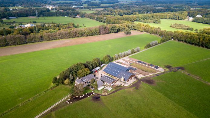 Het Kerkpad in Warnsveld wordt nu aangepast zodat het niet meer dwars over het boerenerf loopt. Het moet een einde maken aan de confrontaties tussen boer en wandelaars.