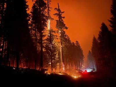 Enorme bosbrand in Oregon geraakt niet onder controle