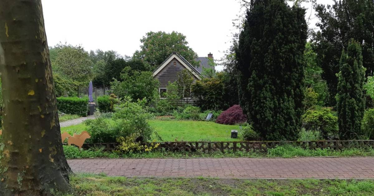 Vrouw gewond na aanrijding met kind op de fiets: jongetje ‘in voetbalbroek’ fietst door.