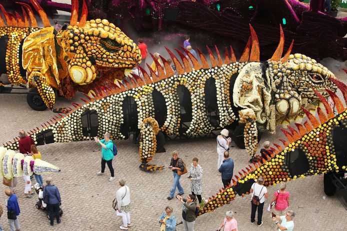 Wordt het een rijdend corso, of een stilstaande expositie op ongeveer de manier waarop de gewoonlijk de corsomaandag is ingericht? Of wordt het nog wat anders?  Hier de expo van 2018