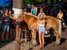 Extra hulpverleners en schaduw houden pony’s op de Paardenmarkt rustig