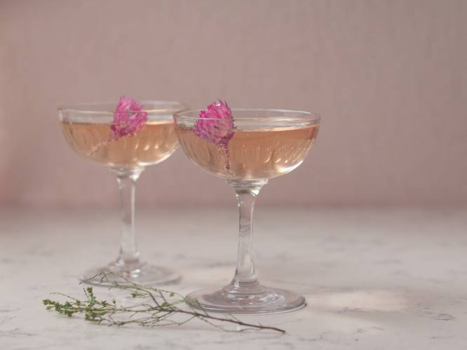 Het beste van twee werelden: de ginsecco is de perfecte cocktail voor de feestdagen 