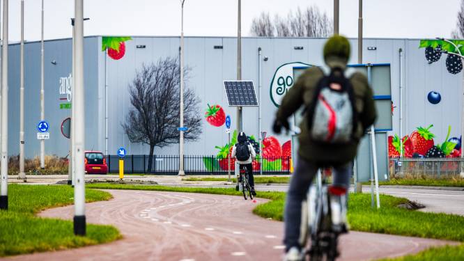 Alles om de forens te verleiden wat vaker de fiets te pakken: ‘Een hele puzzel, en goedkoop is het ook niet’