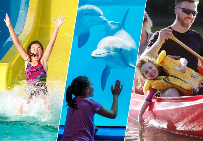 7 zomerse uitstapjes voor het hele gezin