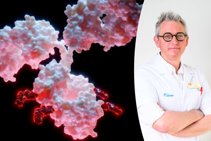 Professor Toon Van Gorp van UZ Leuven leidde een internationaal onderzoek naar een nieuwe behandeling voor eierstokkanker die resistent is geworden voor chemotherapie.