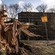 Honderden bomen knapten als luciferhoutjes: ‘Van buiten prima, van binnen rot’