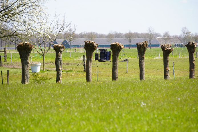 Bij een ongeval in Schalkhaar liep een menner ernstig letsel op.