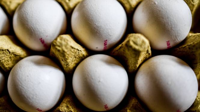 Fipronil gevonden bij nog meer Nederlandse pluimveebedrijven