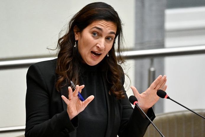 Vlaams minister van Omgeving Zuhal Demir (N-VA)