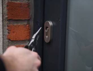 Poging tot inbraak in woning mislukt