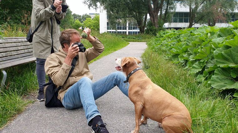 Filmmaker Jeroen Wolf: ‘Om de honden in de camera te laten kijken, zette ik een hysterisch stemmetje op.’ Beeld Jeroen Wolf
