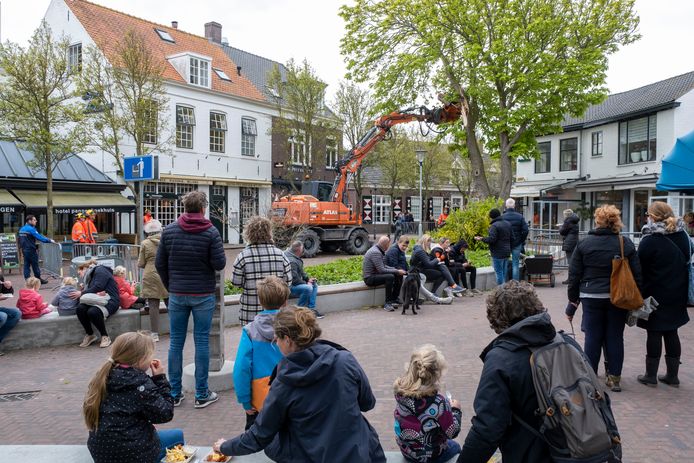 Onder toeziend oog van toeristen werd dinsdagmiddag een kastanje in het centrum van Domburg geveld.