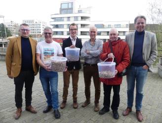 Zwerfvuilvrijwilligers beloond met cadeaubonnen: “Wekelijks raap ik zo'n 250 sigarettenpeuken op in Vinkt”