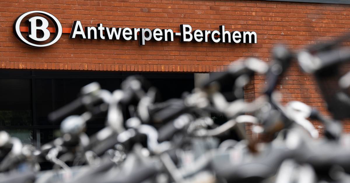 Lagere school Richtlijnen Berekening Te grote fiets en geen gepaste sleutel: Antwerpse fietsenwinkel verdacht  van heling gestolen fietsen | Antwerpen | pzc.nl