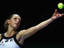 Pliskova renverse la situation