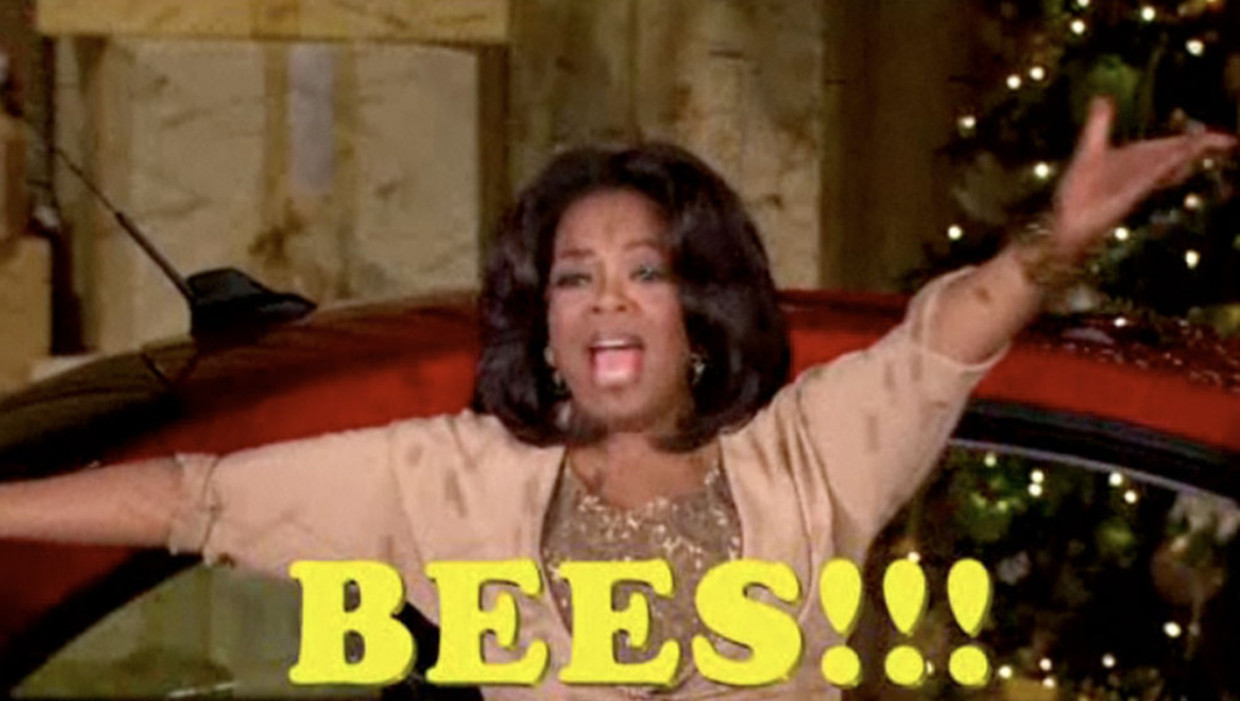 null Beeld BEES!