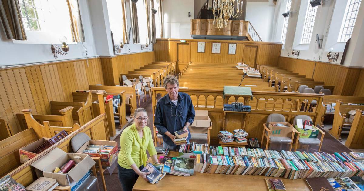 Neuzen tussen de boeken of op avontuur in de toren: eeuwenoude kerk in Baarland zet de deuren open