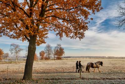 Paarden ‘ontstressen’ de autistische bewoners van Lucas Hoeve