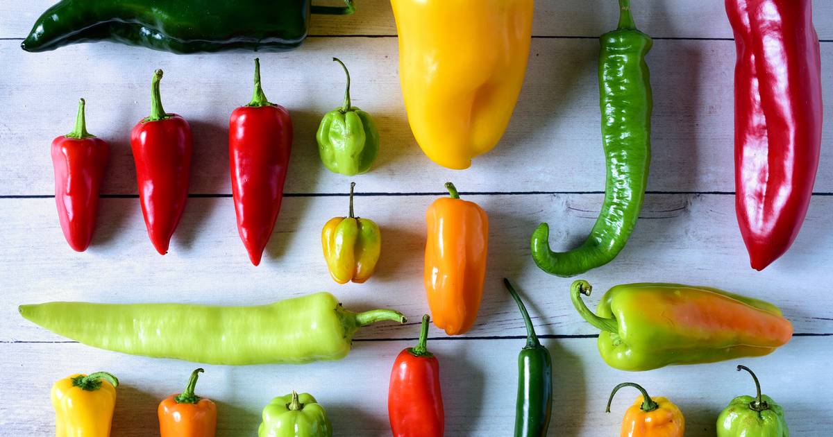 Dit zijn de heetste pepers om mee te koken én zo gebruik je ze in een gerecht: “Bij deze het alsof je pepperspray eet” | Eten | hln.be
