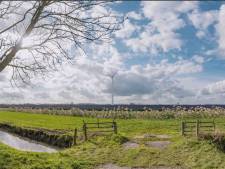 D66: Grondeigenaren Rijnenburg desnoods dwingen windmolens toe te staan