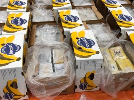 Criminelen hielden elkaar scherp in haven: ‘Maximaal 350 kilo coke per pallet bananen, anders worden ze geel’