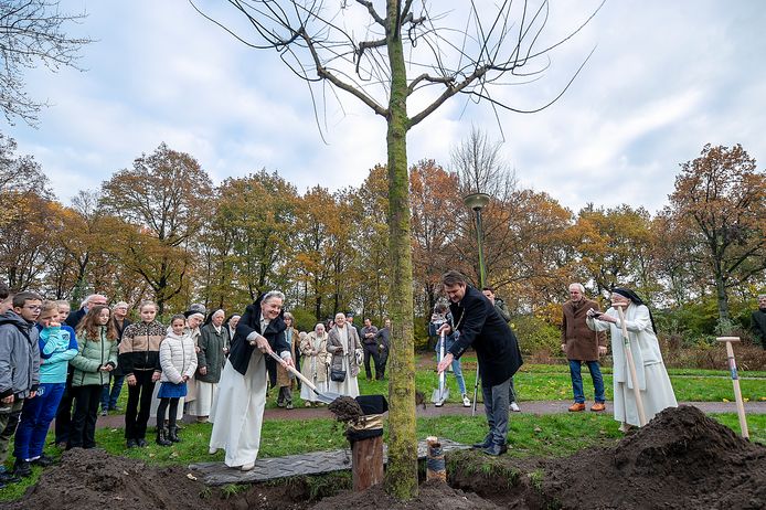 Zuster Maria Magdalena van Bussel van Catharinadal uit Oosterhout en Roosendaals burgemeester Han van Midden zetten de honingboom stevig in de grond van het Wouwse Catharinapark.
