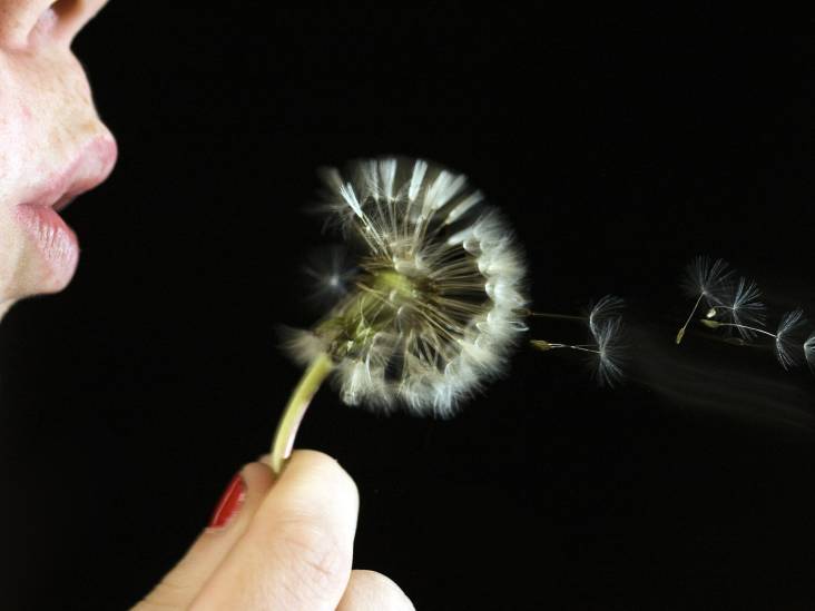 Pollenseizoen: wat weet jij van hooikoorts?