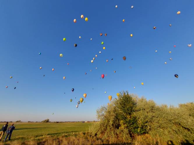 Sint-Niklase piloten verdedigen Belgische eer op EK ballonvaren in Hongarije