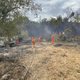 Ook brandweer Italië druk met bosbranden