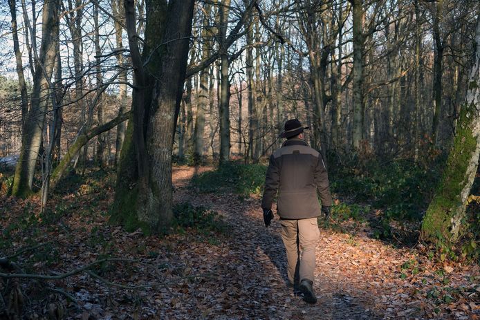 Kunnen de Brabantse Wouden uitgroeien tot een nationaal park in 2023 ...